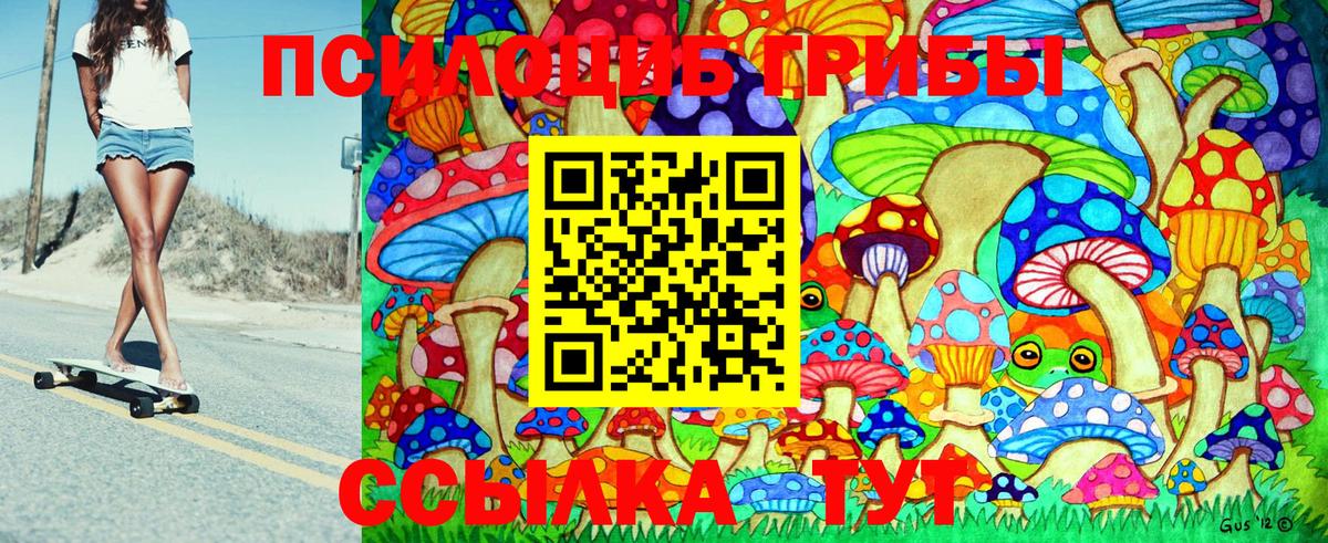 Псилоцибиновые грибы Psilocybine cubensis Семёнов