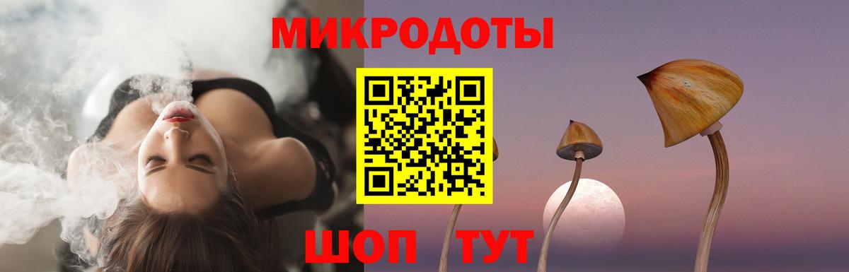 Семёнов  Галлюциногенные грибы Cubensis  Вход с VPN 